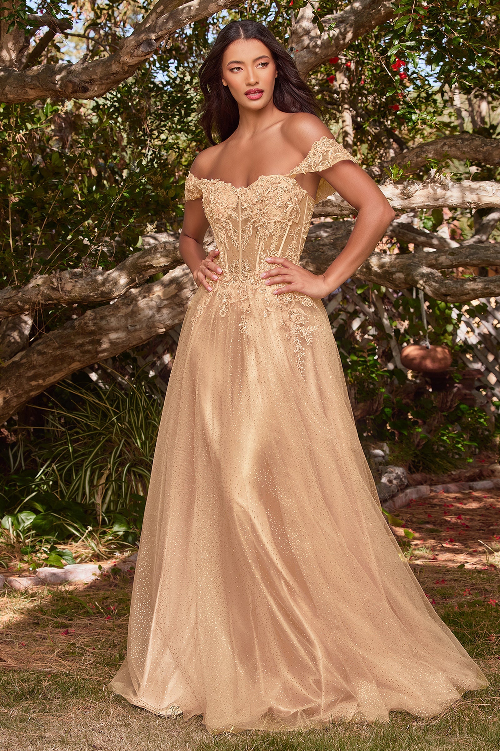 Enchanting Cinderella Divine: Beaded and Embroidered Masterpiece for Unforgettable Occasions