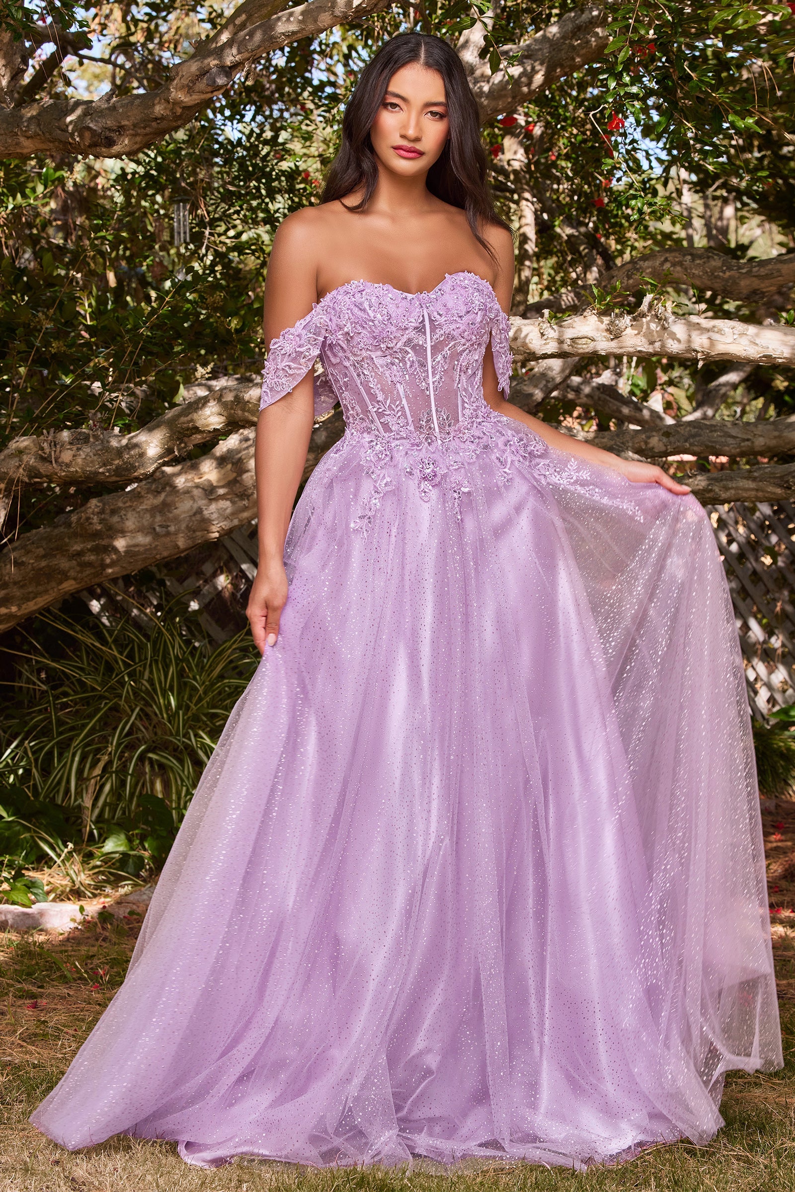 Enchanting Cinderella Divine Dress: Intricate Embroidery and 3D Florals for Special Occasions