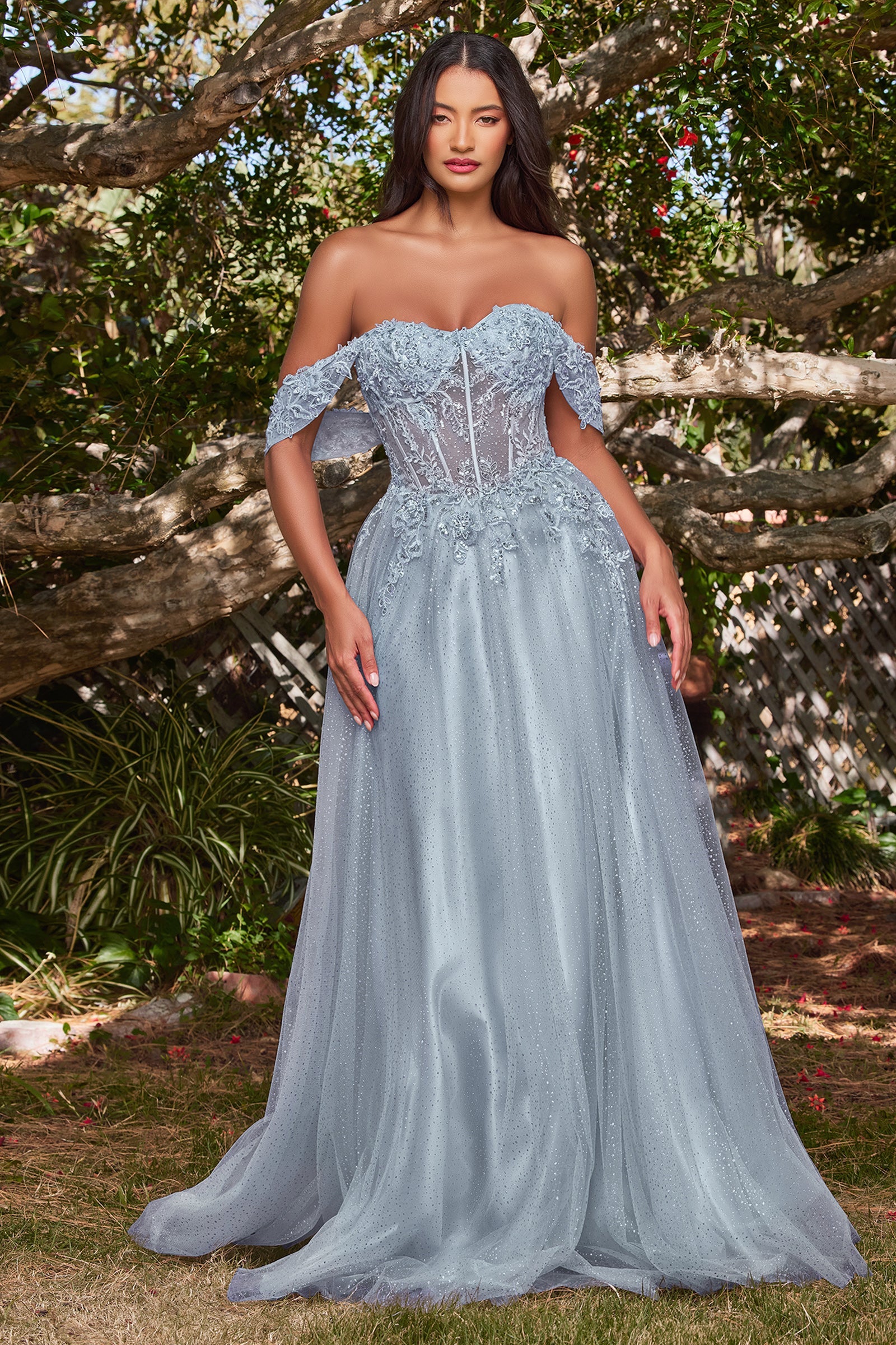 Enchanting Cinderella Divine Dress: Intricate Embroidery and 3D Florals for Special Occasions