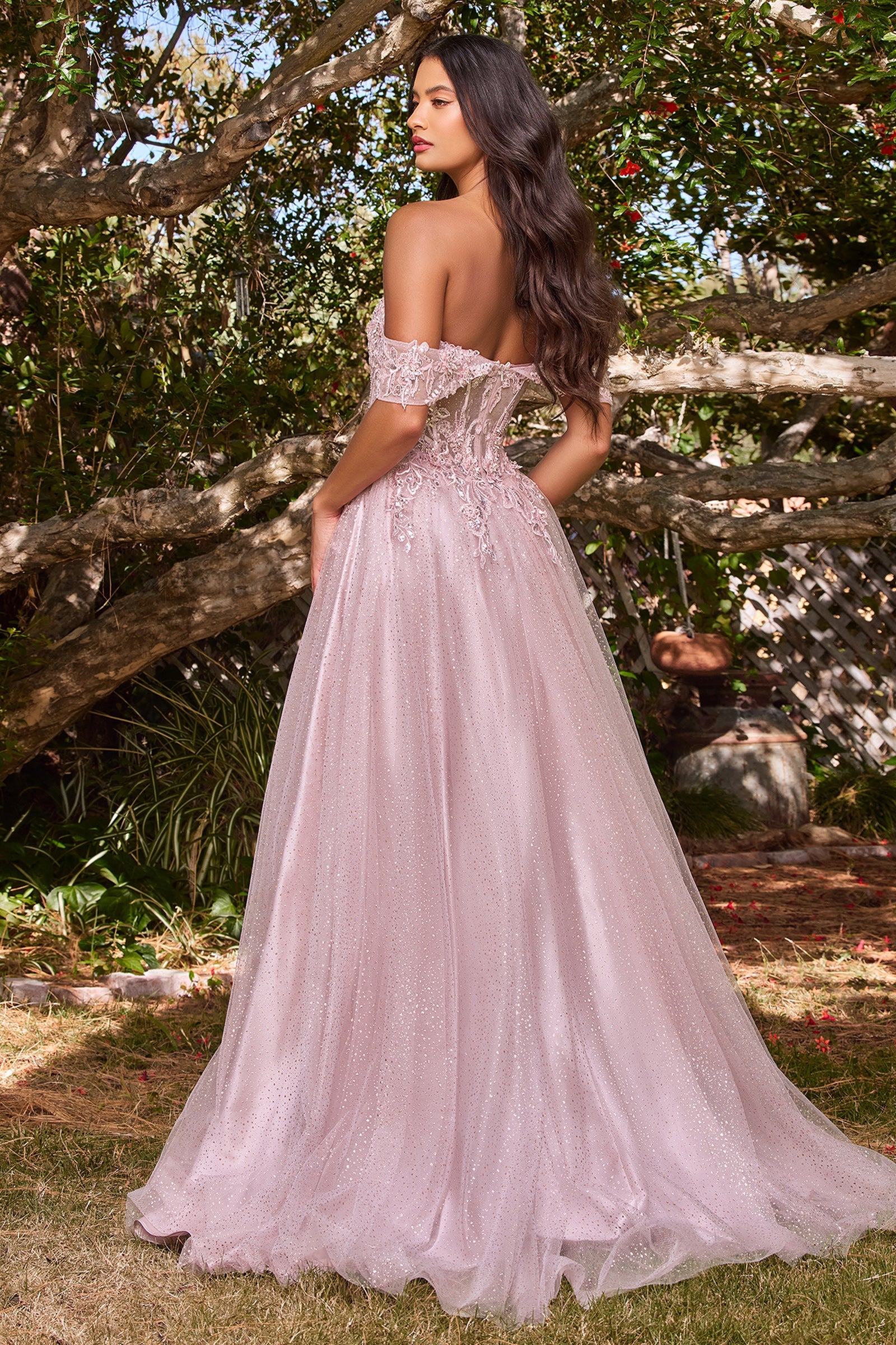 Enchanting Cinderella Divine Dress: Intricate Embroidery and 3D Florals for Special Occasions