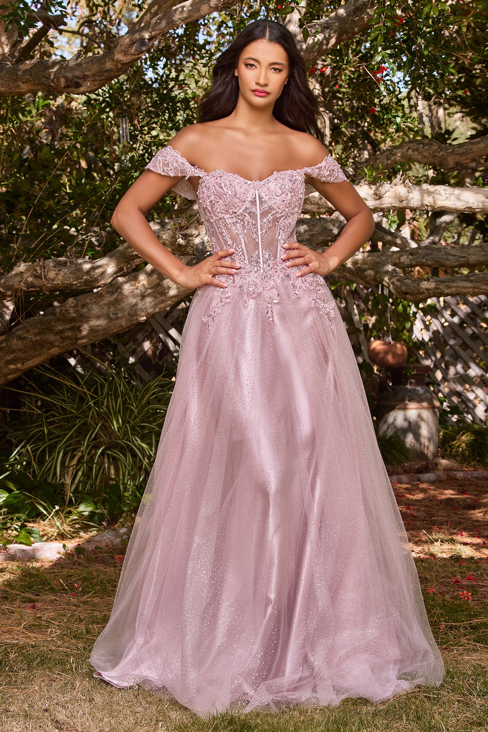 Enchanting Cinderella Divine Dress: Intricate Embroidery and 3D Florals for Special Occasions