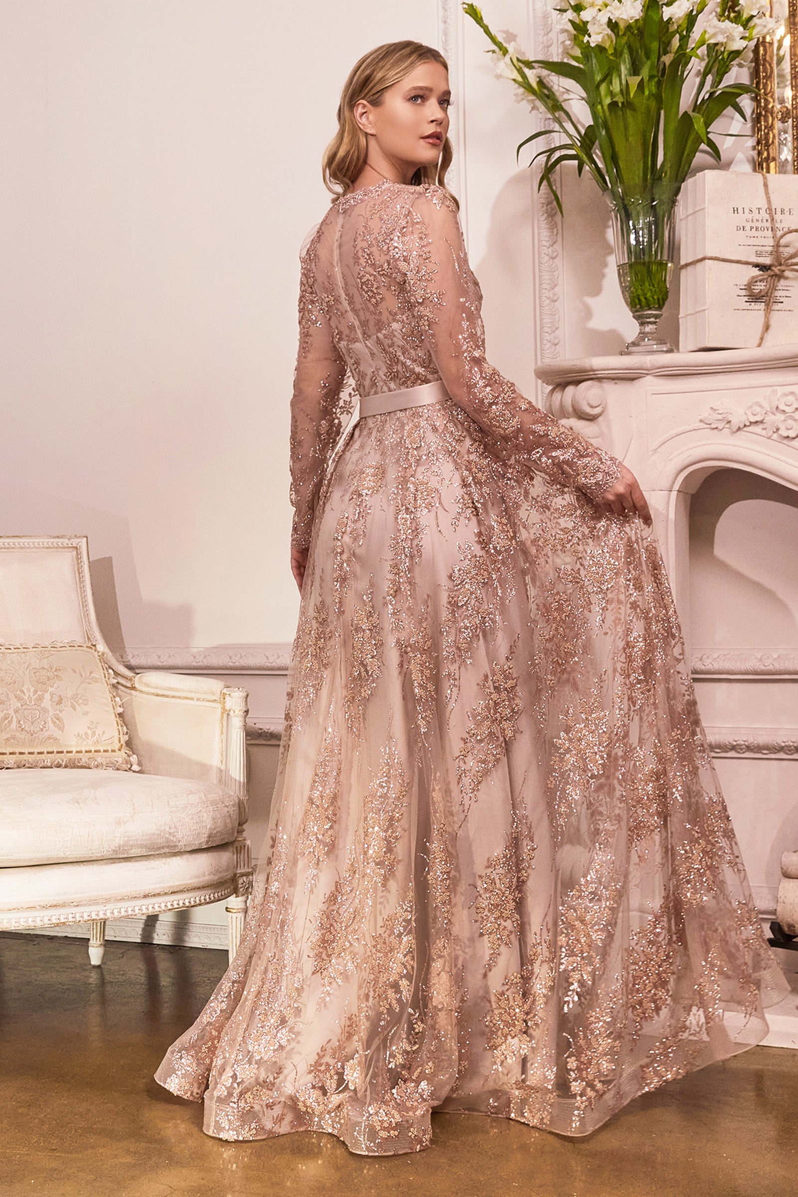 **Enchanting Cinderella Divine: Embroidered Elegance for Unforgettable Occasions**