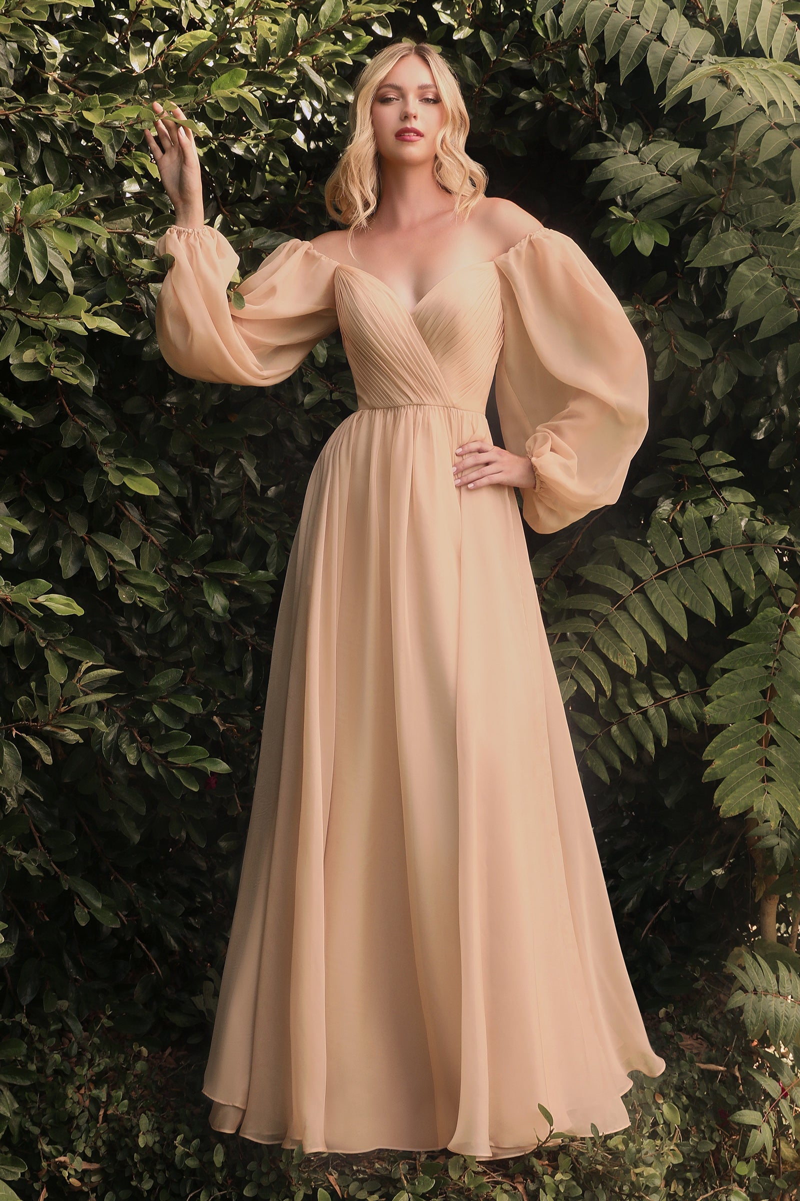 Enchanting Cinderella Divine CD243 Gown: A Vision of Elegance for Every Occasion