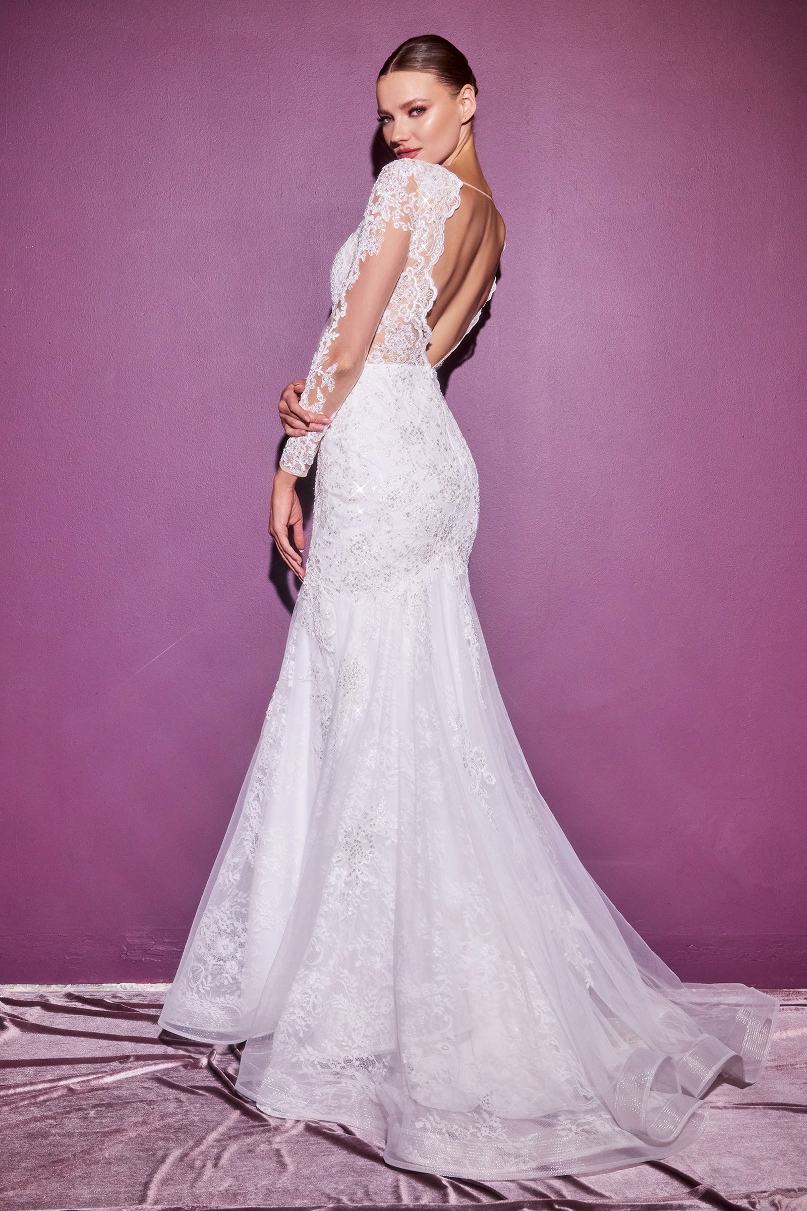 Cinderella Divine Embroidered Masterpiece: Captivating Deep V-Neck and Mermaid Silhouette