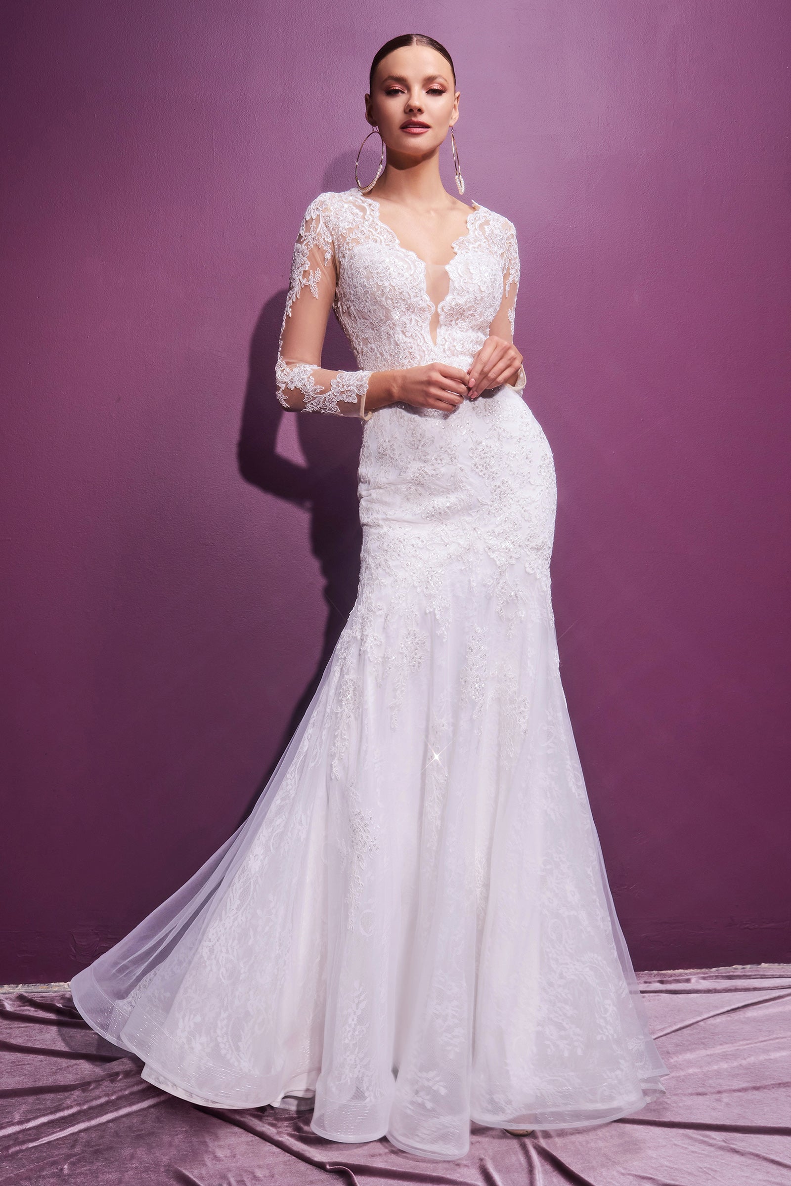 Cinderella Divine Embroidered Masterpiece: Captivating Deep V-Neck and Mermaid Silhouette