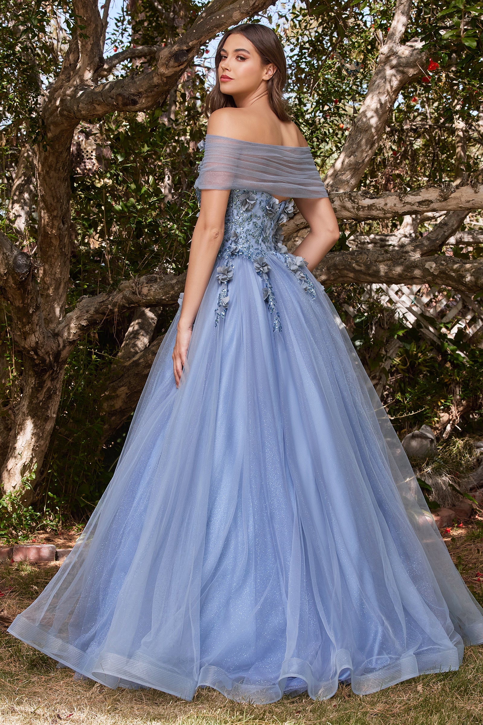 Cinderella Divine CD955: A Fairytale Ballgown for Every Princess