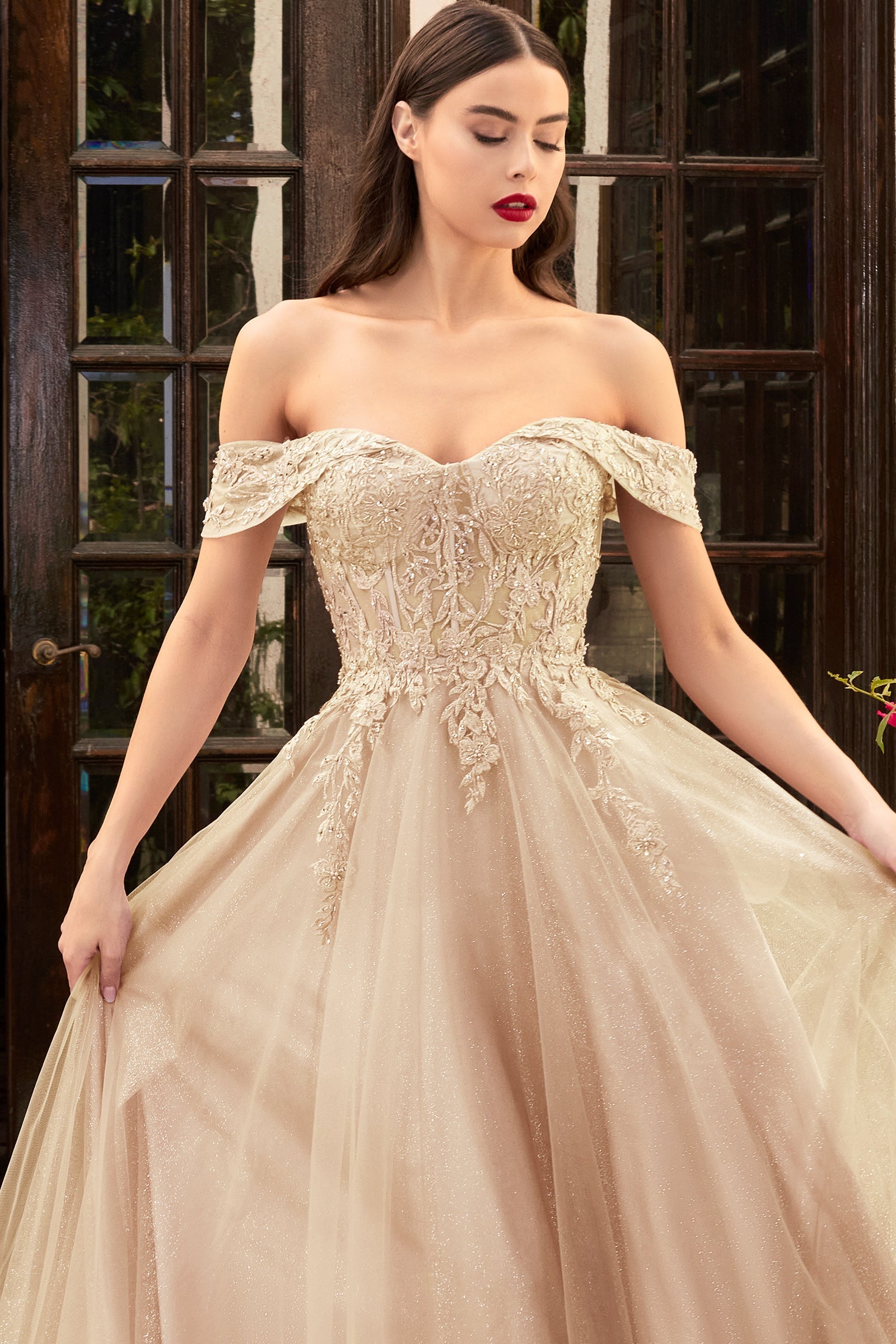 Cinderella Divine's Enchanting Embroidered Lace Gown for Unforgettable Occasions