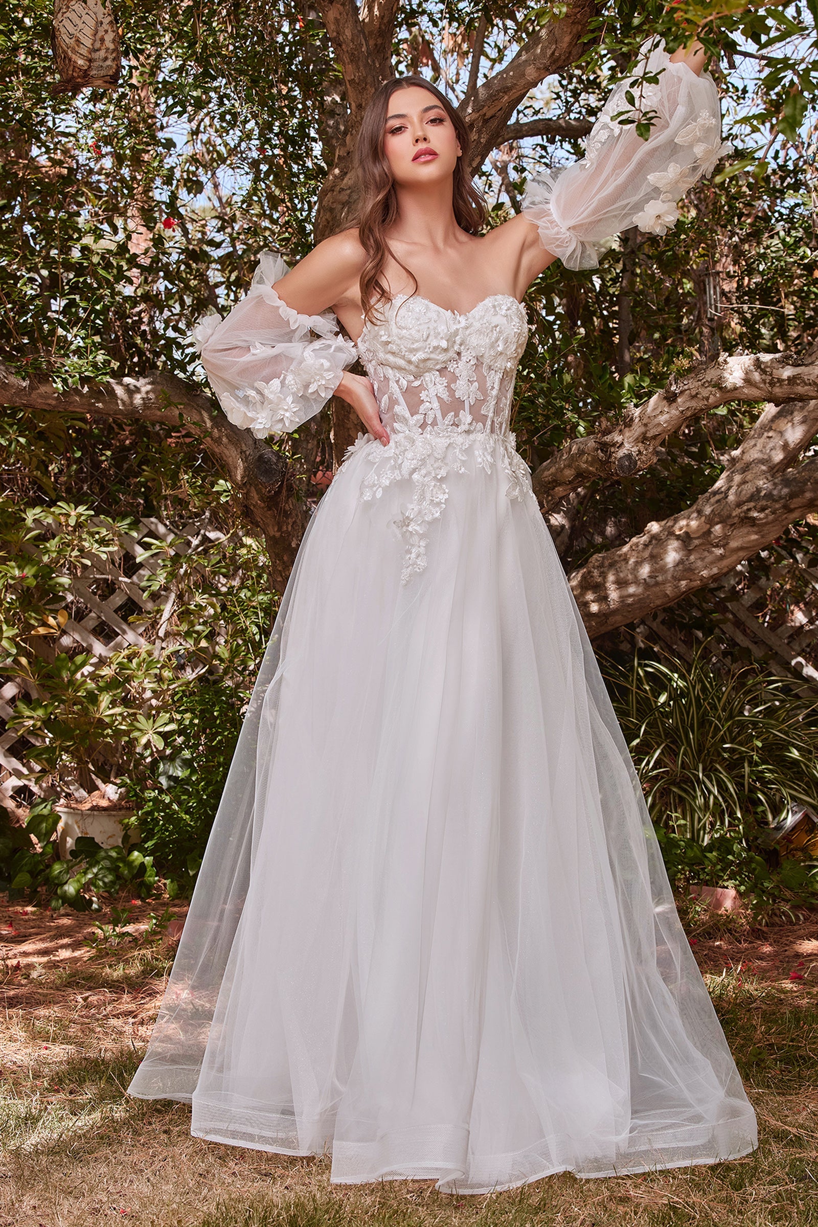 **Cinderella Divine: Ethereal Wedding Dress for Your Fairytale Moment**