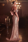 Cinderella Divine CH167: Shimmering Elegance for Every Enchanting Occasion