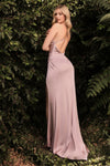 **Shneuis: The Epitome of Elegance for Women**