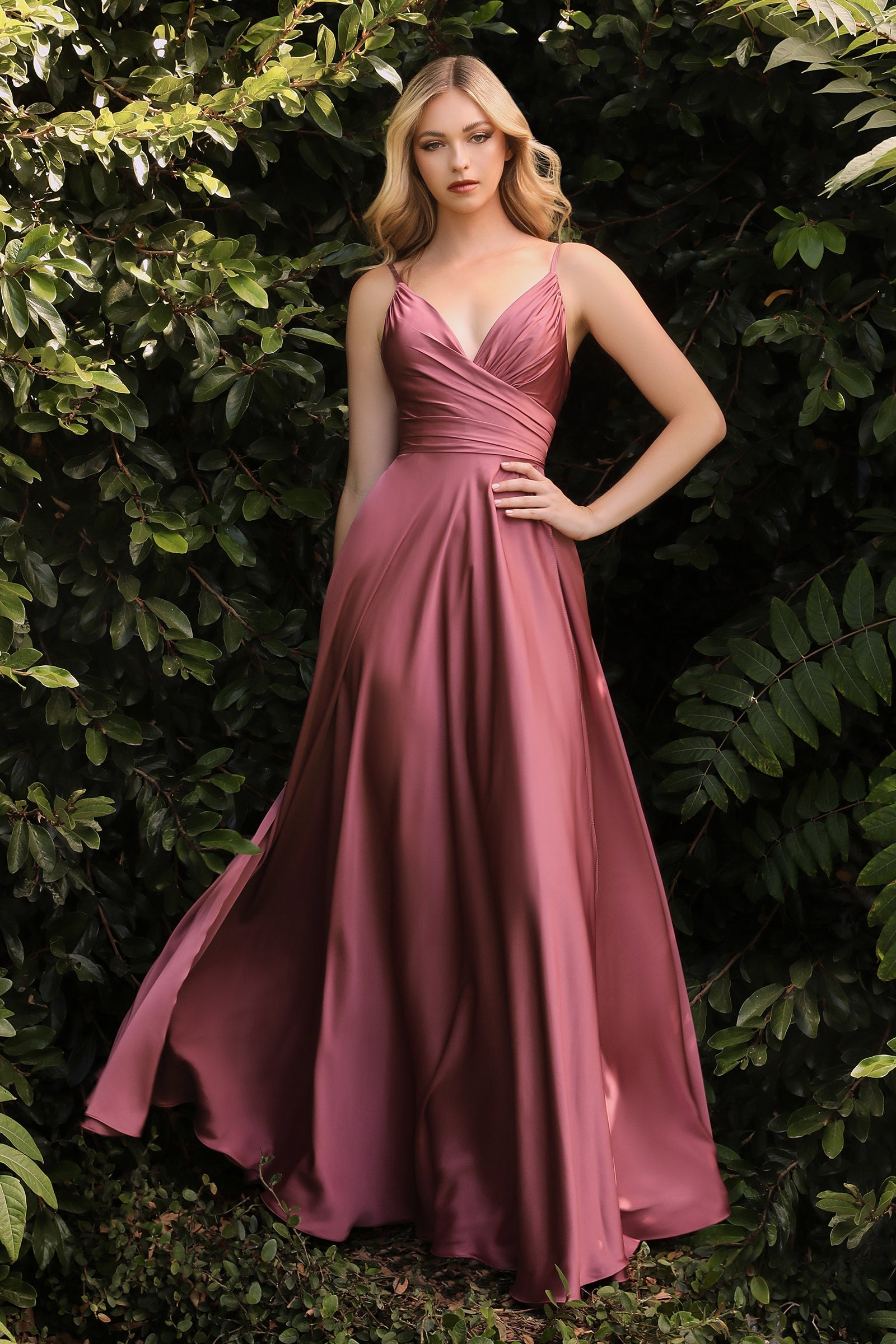 Cinderella Divine: Wrap Yourself in Enchanting Elegance for Special Occasions