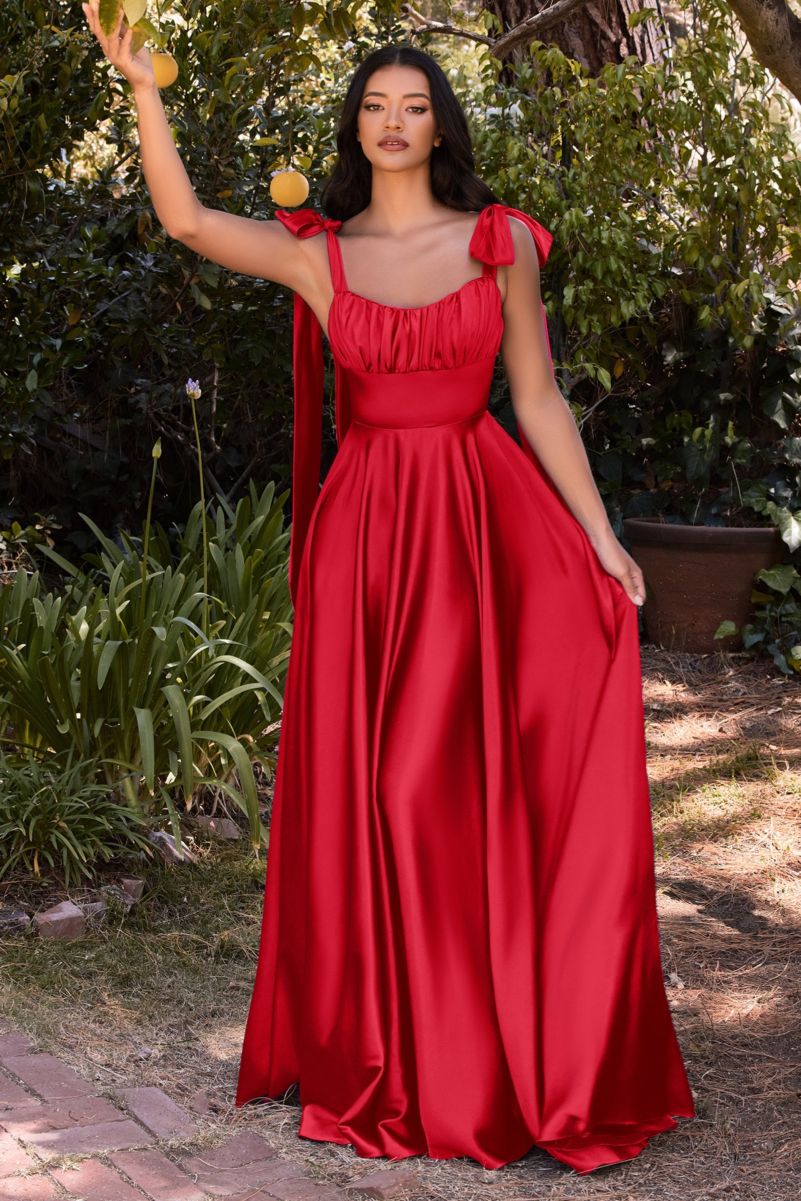 Shneuisan's Enchanting Ruffle-Bust Maxi Dress for Unforgettable Occasions