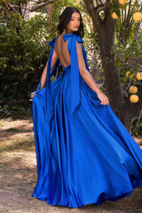 Enchanting Ruching and Sophisticated Open Back Dress by Shneuisan