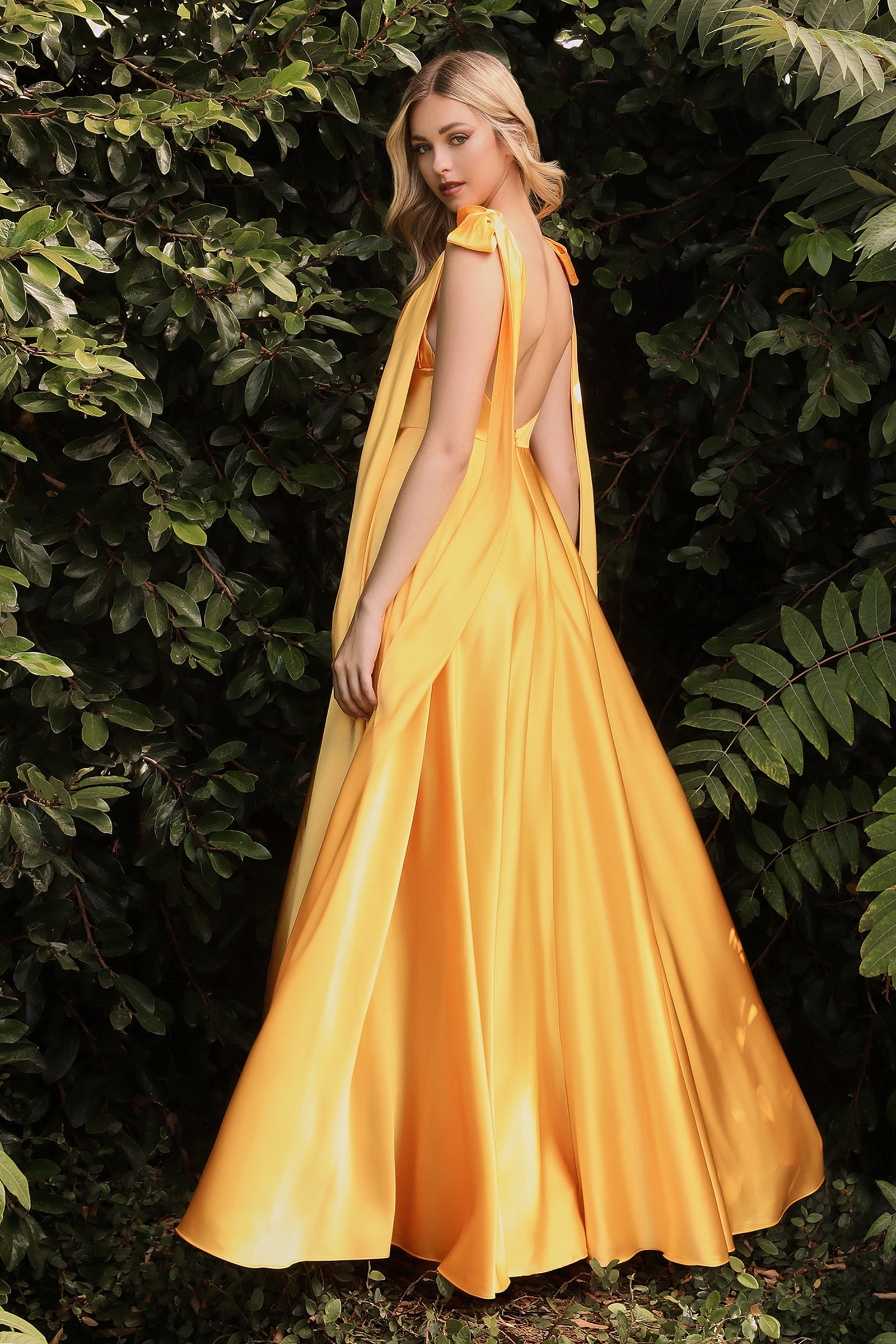 Enchanting Elegance for Special Occasions: Shneuis's Captivating Dress