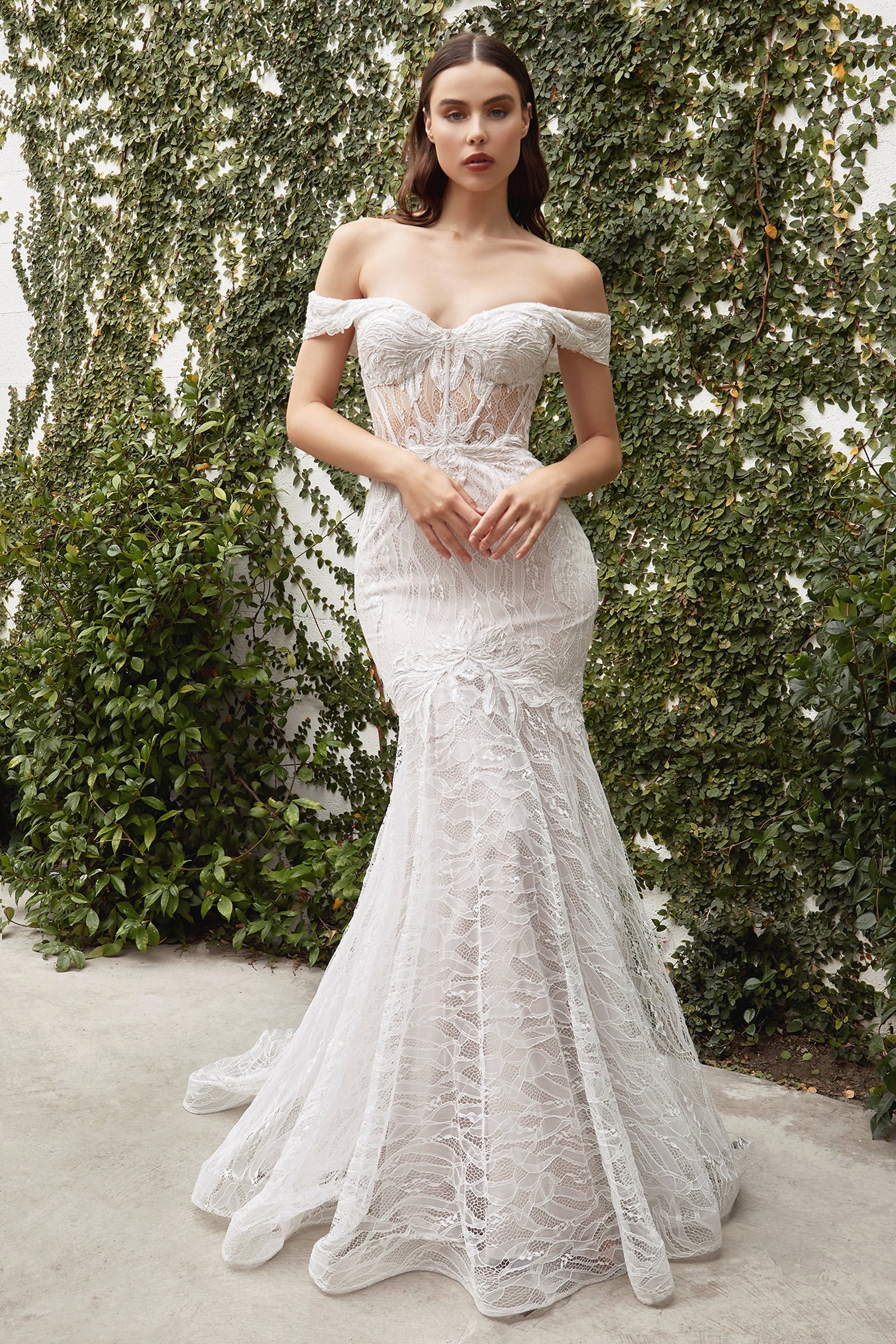 Cinderella Divine's Enchanting Lace Mermaid Wedding Dress: A0666W