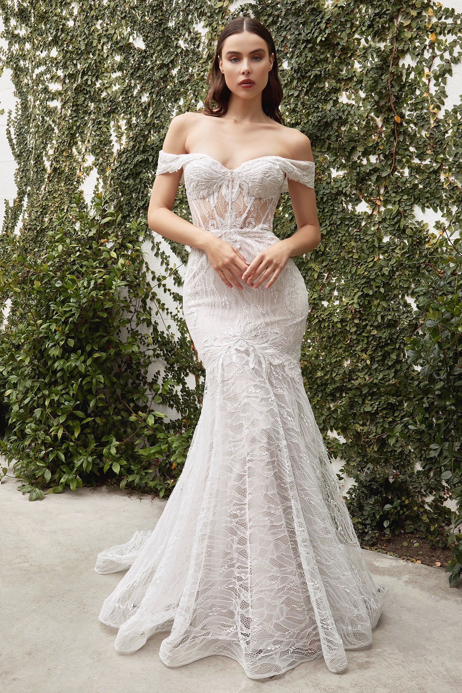 Enchanting Lace Mermaid Gown for Unforgettable Occasions by Cinderella Divine