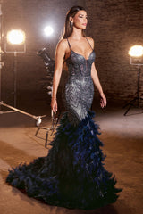 Cinderella Divine: Embrace the Hollywood Allure in a Captivating Feather Mermaid Gown