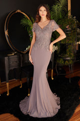 Enchanting Embroidered Gown for Formal Occasions: Cinderella Divine CL04