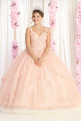 Rose Gold Plus Size Ball Gown for Quinceañera LK177