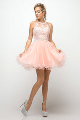 **Cinderella Divine: Captivating Beaded Lace AppliquÃ© Dress for Unforgettable Occasions**