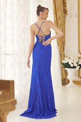 Timeless Allure's Enchanting Lace Gown: A Symphony of Elegance for Special Occasions