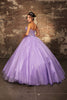 Gala Gown Sweetheart Corset Back Quinceanera Gown By Layla K LK243 - Dress