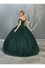 Formal Ball Quinceanera Gown And Plus Size