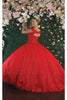 Floral Applique Quince Dress