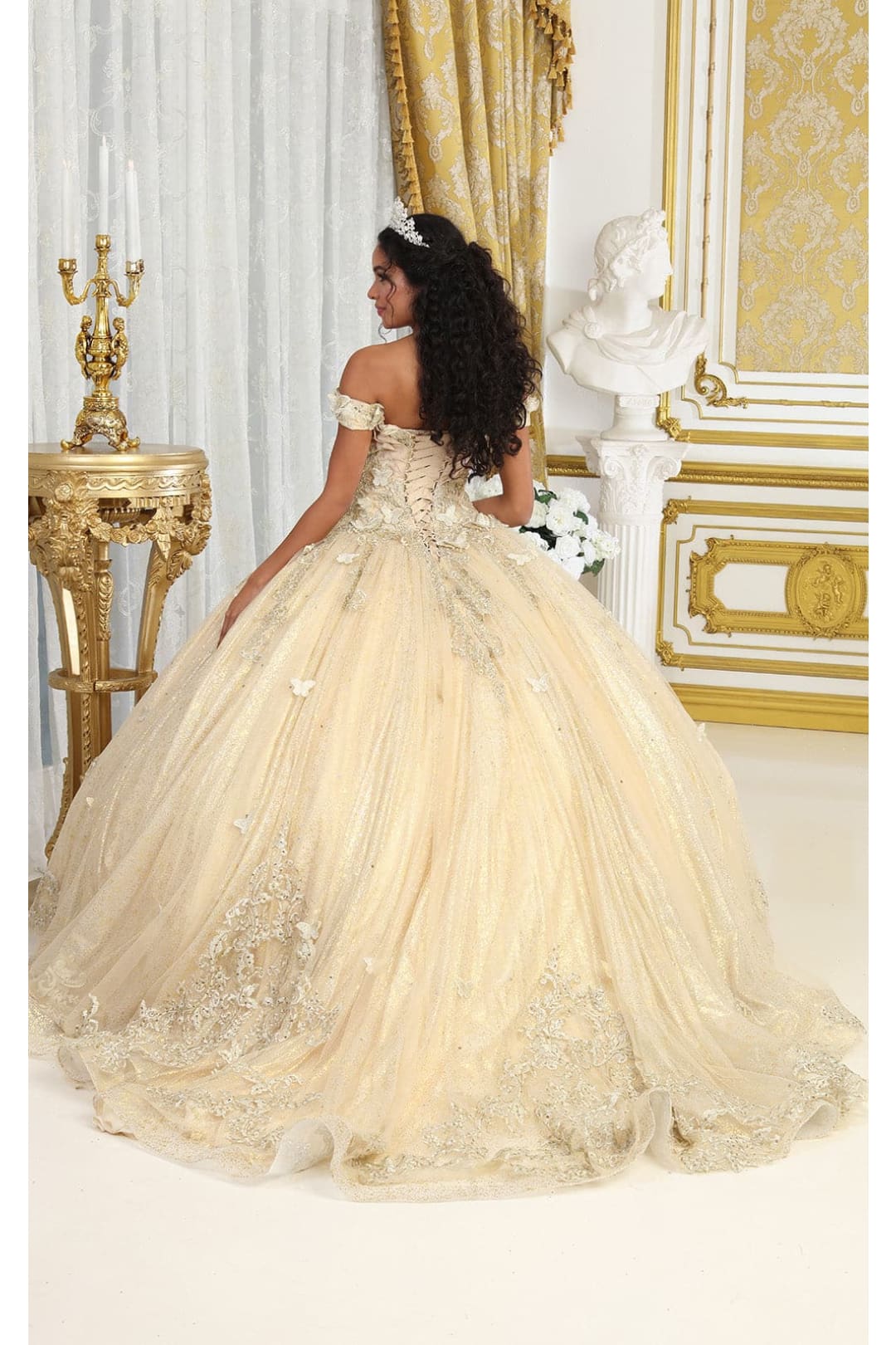 LK232 Corset Back Butterfly Applique Off Shoulder Ball Quince Dress - Dress