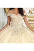 LK232 Corset Back Butterfly Applique Off Shoulder Ball Quince Dress - Dress
