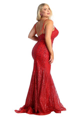 Plus Size Dress Special Occasion