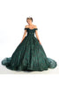 Quinceanera Dress Ball Gown Embroidered Glitter Off Shoulder LK169 - Dress