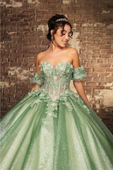 Quinceanera Dress Prom Ball Gown Floral Fitted Corset Glitter by LK245 - Dress