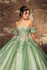 Quinceanera Dress Prom Ball Gown Floral Fitted Corset Glitter by LK245 - Dress